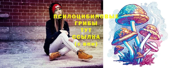 таблы Надым