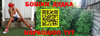 крисы Балаково