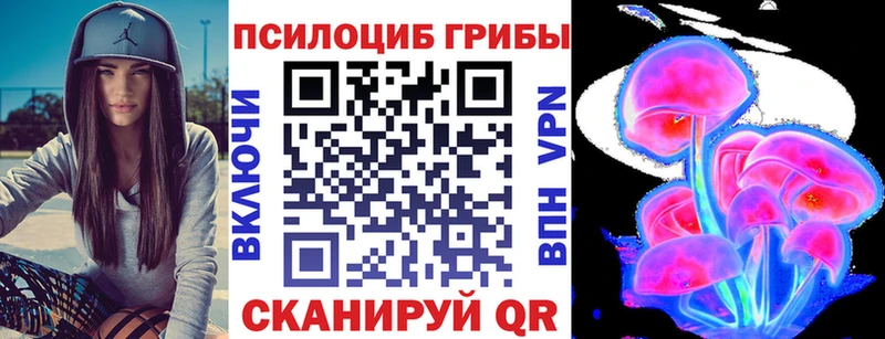 Псилоцибиновые грибы Cubensis MEGA онион Армавир