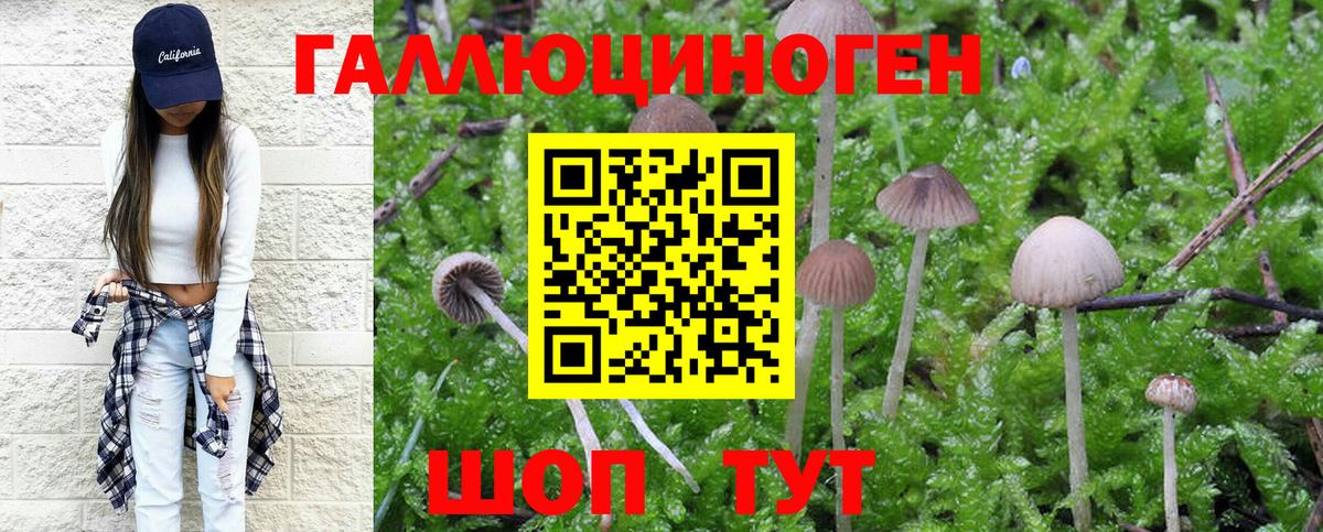 Псилоцибиновые грибы Psilocybe  Вход с VPN  Армавир  Псилоцибиновые грибы прущие грибы 