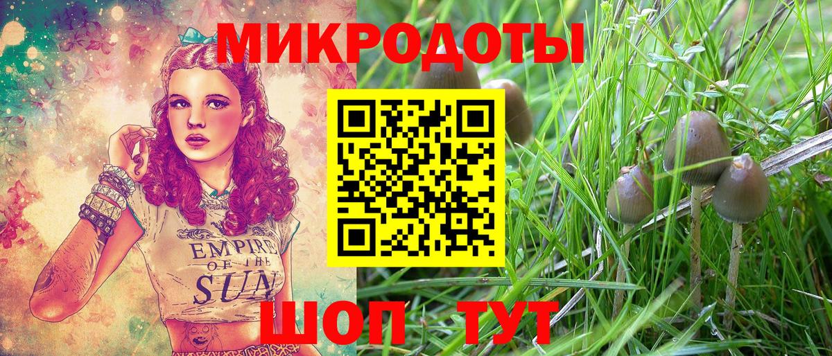 Псилоцибиновые грибы Magic Shrooms  Армавир 