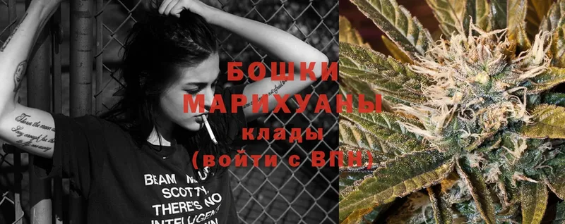 магазин  наркотиков  блэк спрут маркетплейс  Конопля SATIVA & INDICA  Армавир 